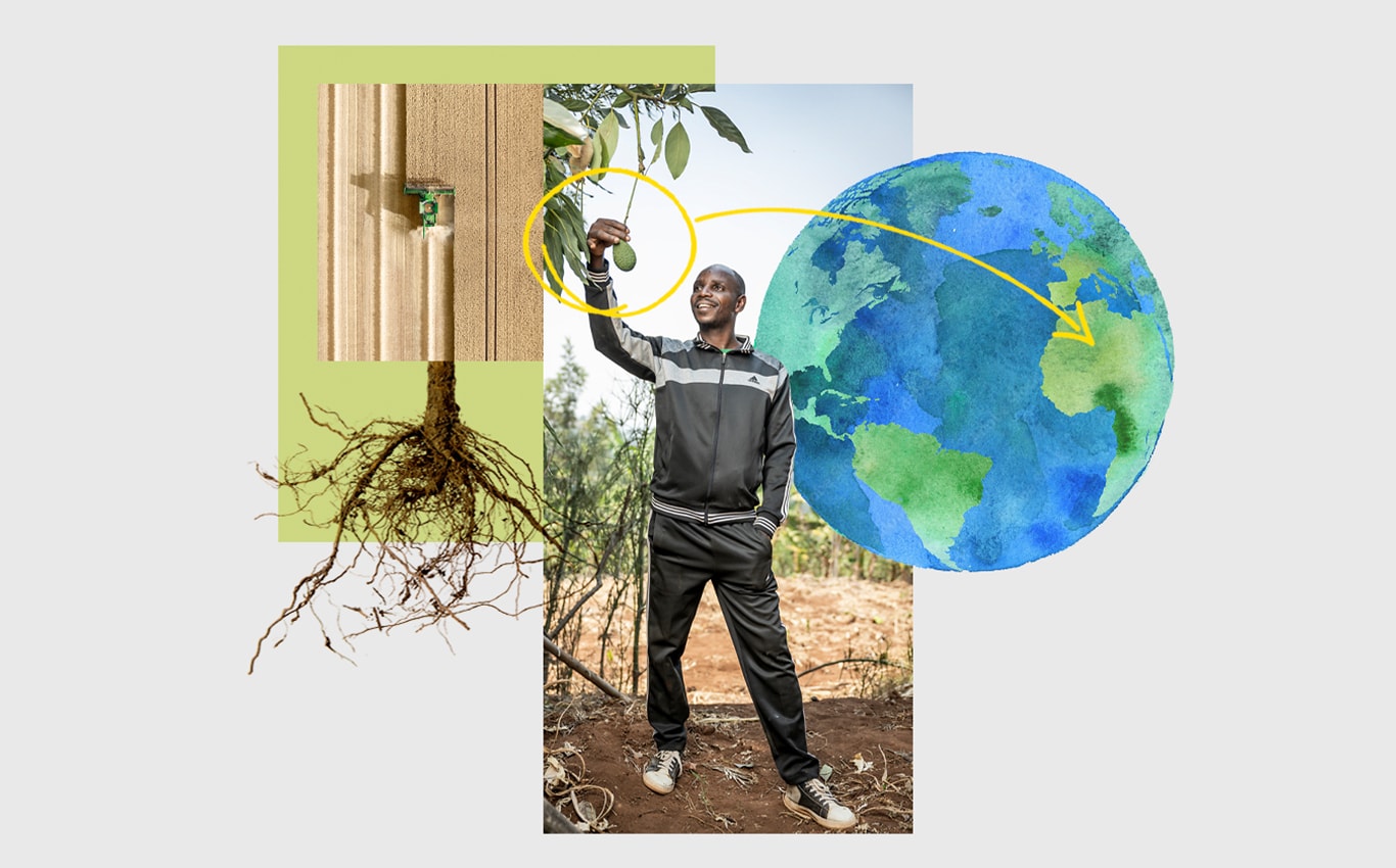 John Deere kombaino vaizdas iš viršaus, žmogus, skinantis avokadą nuo medžio, ir į Afriką nukreipta rodyklė Žemės iliustracijoje.