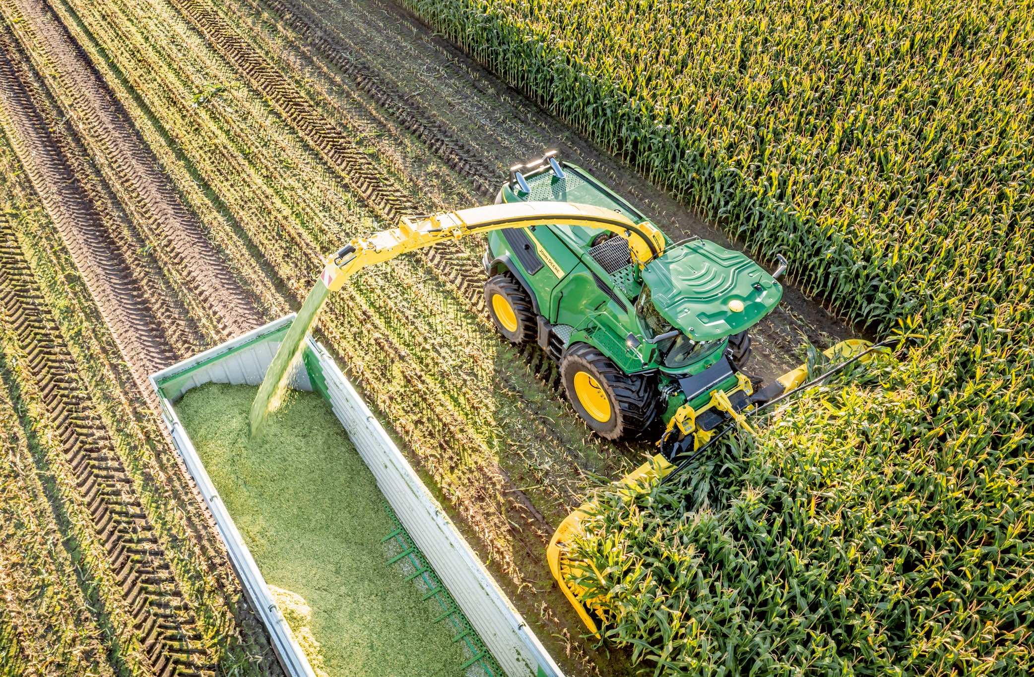 Žalio "John Deere" pašarų kombaino, nuimančio kukurūzų derlių ir perkraunančio susmulkintą silosą į priekabą dideliame kukurūzų lauke, vaizdas iš aukštai.